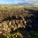 Bed & Breakfast Da Madalena (Azores)