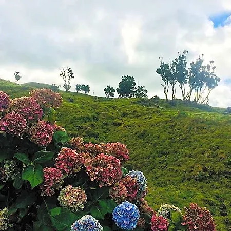 Da Madalena (Azores)