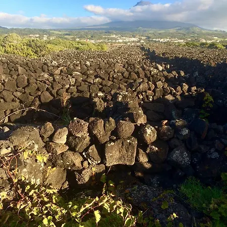 Bed & Breakfast Da Madalena (Azores)